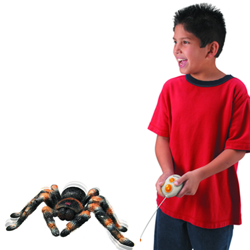 tarantulaRC